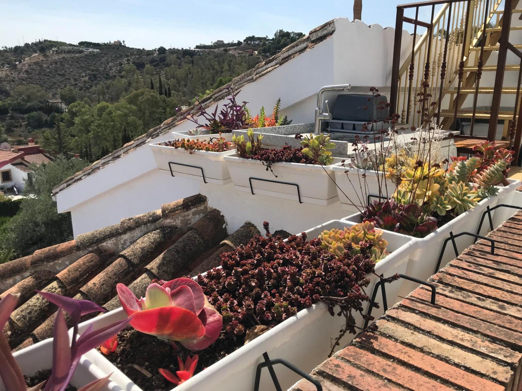 Studio Views Apartment, Fruitful Hills Estate Málaga Exterior foto